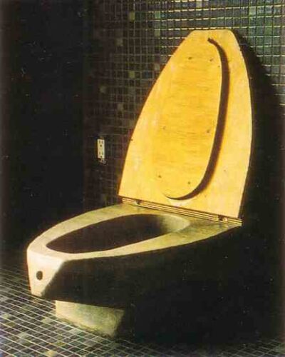 Flush Toilet Alternatives That Conserve Water